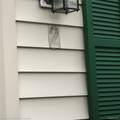 6564 Michigan - Photo 3