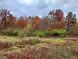 1783 Greenly - Photo 4