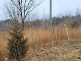 09021 Blue Star - Photo 5