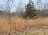 09021 Blue Star - Photo 6