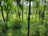 100 Adams - Photo 43