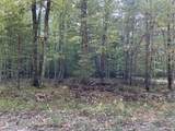V/L Trail Of The Lakes - Photo 1