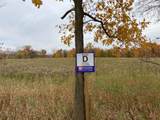 8689 29th - Photo 3