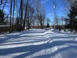11490 Alpine - Photo 6