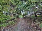 6581 Evergreen - Photo 38