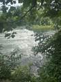 1306 Tippy Dam - Photo 84