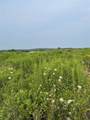 Lot 3 Calming Meadows - Photo 8