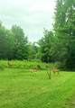  Warren Woods - Photo 12