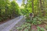 143 Treestand Rd - Photo 61