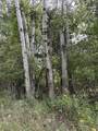 lot455,456 Coocpa- Lake Miramachi - Photo 12