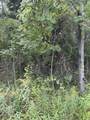 lot455,456 Coocpa- Lake Miramachi - Photo 7