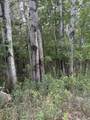 lot455,456 Coocpa- Lake Miramachi - Photo 8