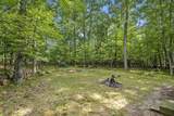 2261 Tallman Lake - Photo 12