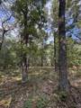 0 Shady Grove Drive - Photo 3