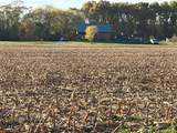  Wickwire - Photo 16