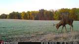 11661 75th - Photo 11