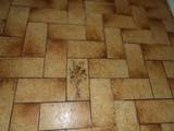 31 Orchard - Photo 16