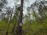 1408 Turtle Lake - Photo 51