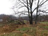6488 Parma - Photo 5