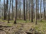  Waterloo Munith - Photo 1