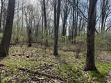  Waterloo Munith - Photo 3