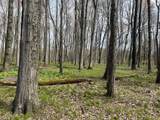  Waterloo Munith - Photo 4