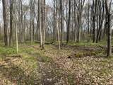  Waterloo Munith - Photo 6