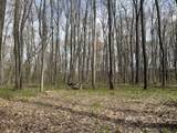  Waterloo Munith - Photo 8