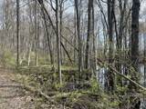  Waterloo Munith - Photo 9