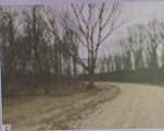 000 Ridge - Photo 6