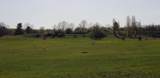 Lot 43 Alden - Photo 8