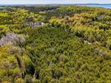 37 Acres Cathead Bay - Photo 32