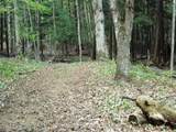 LOT 44 Alden - Photo 11