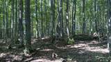 Lot 113 Forestgrove - Photo 6