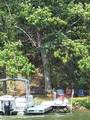 00 Wild Cherry - Photo 32