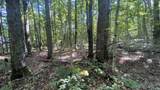 Lot 466 Northwood - Photo 7