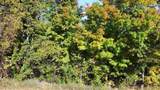 0 Palaestrum - Photo 16