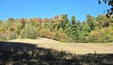 0024 Heather Ridge - Photo 4