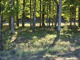 0024 Heather Ridge - Photo 5