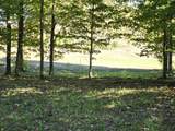 0020 Heather Ridge - Photo 6