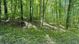 Lot 130 Maromir - Photo 5