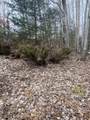 Lot 33 Scenic Hills - Photo 16