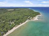 13631 Forest Beach - Photo 74