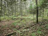 10.11 Acres Golden Road, Se - Photo 10