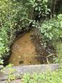 10.11 Acres Golden Road, Se - Photo 2