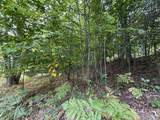 Lot 5 Old Mountain - Photo 9