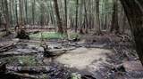 TBD Hoosier Valley - Photo 6