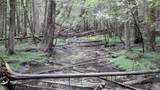 TBD Hoosier Valley - Photo 7