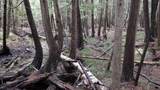 TBD Hoosier Valley - Photo 8