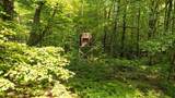16862 Healy Lake - Photo 38